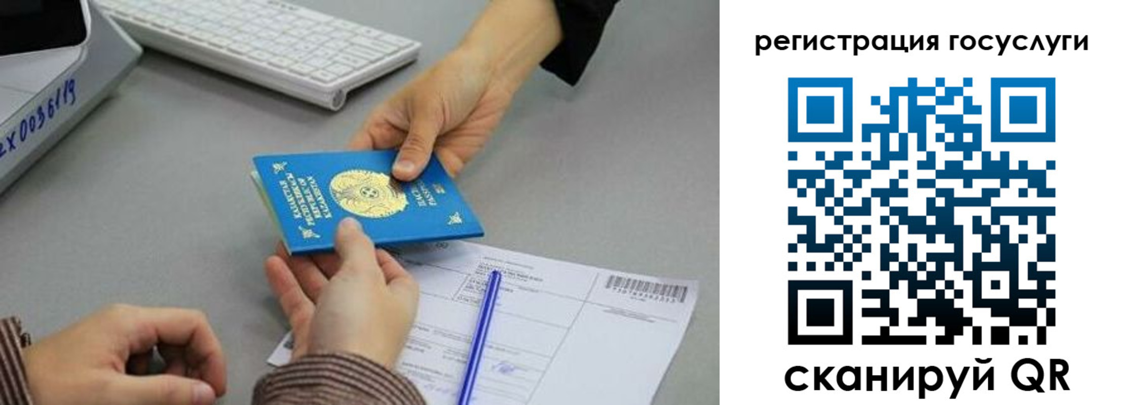 временная прописка в Михайловке